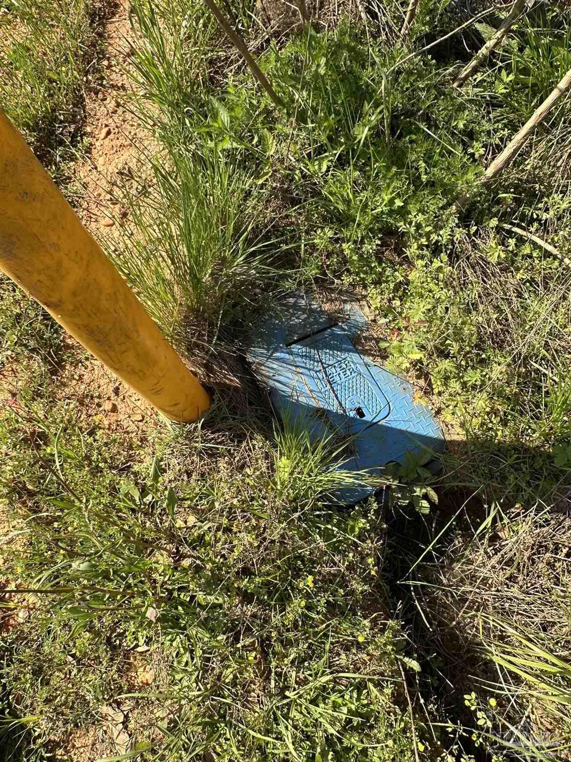 Lot A1 Snyder Road Frisco City, AL 36445 - Photo 26 of 30