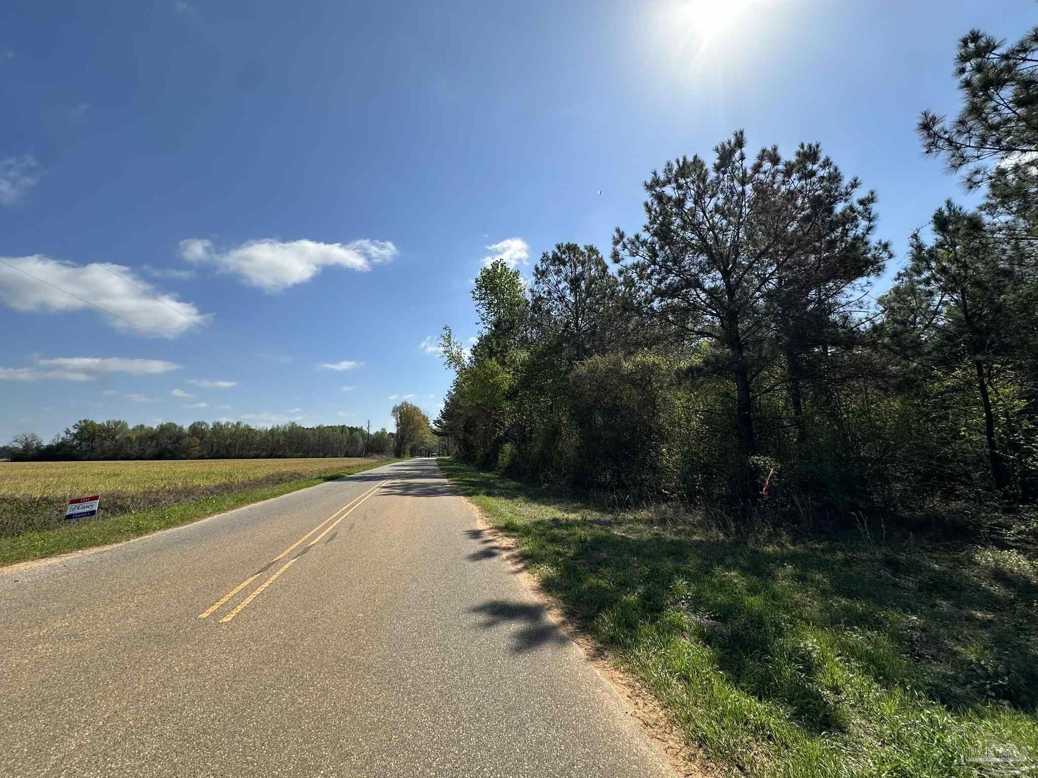 Lot A1 Snyder Road Frisco City, AL 36445 - Photo 27 of 30