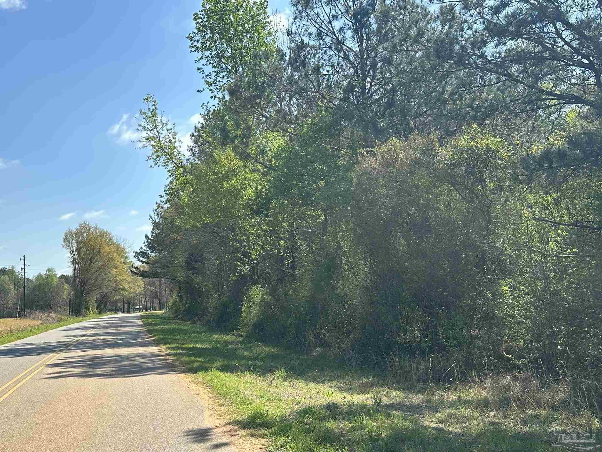 Lot A1 Snyder Road Frisco City, AL 36445 - Photo 28 of 30