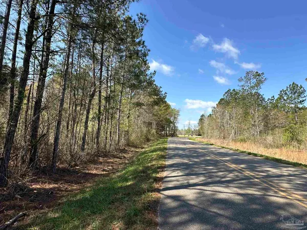 $84,900 | Lot A1 Snyder Road, Frisco City, AL 36445