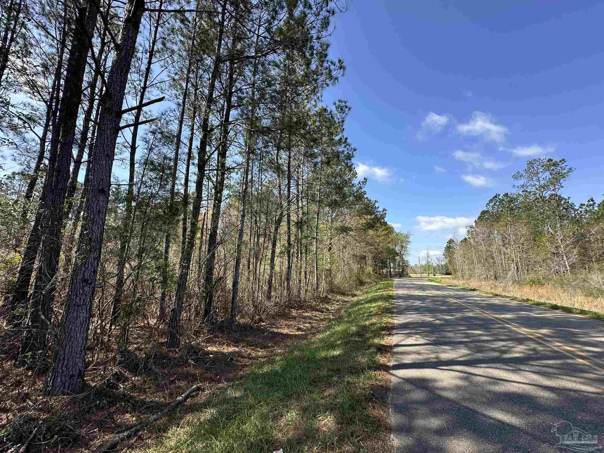 Lot A1 Snyder Road Frisco City, AL 36445 - Photo 30 of 30
