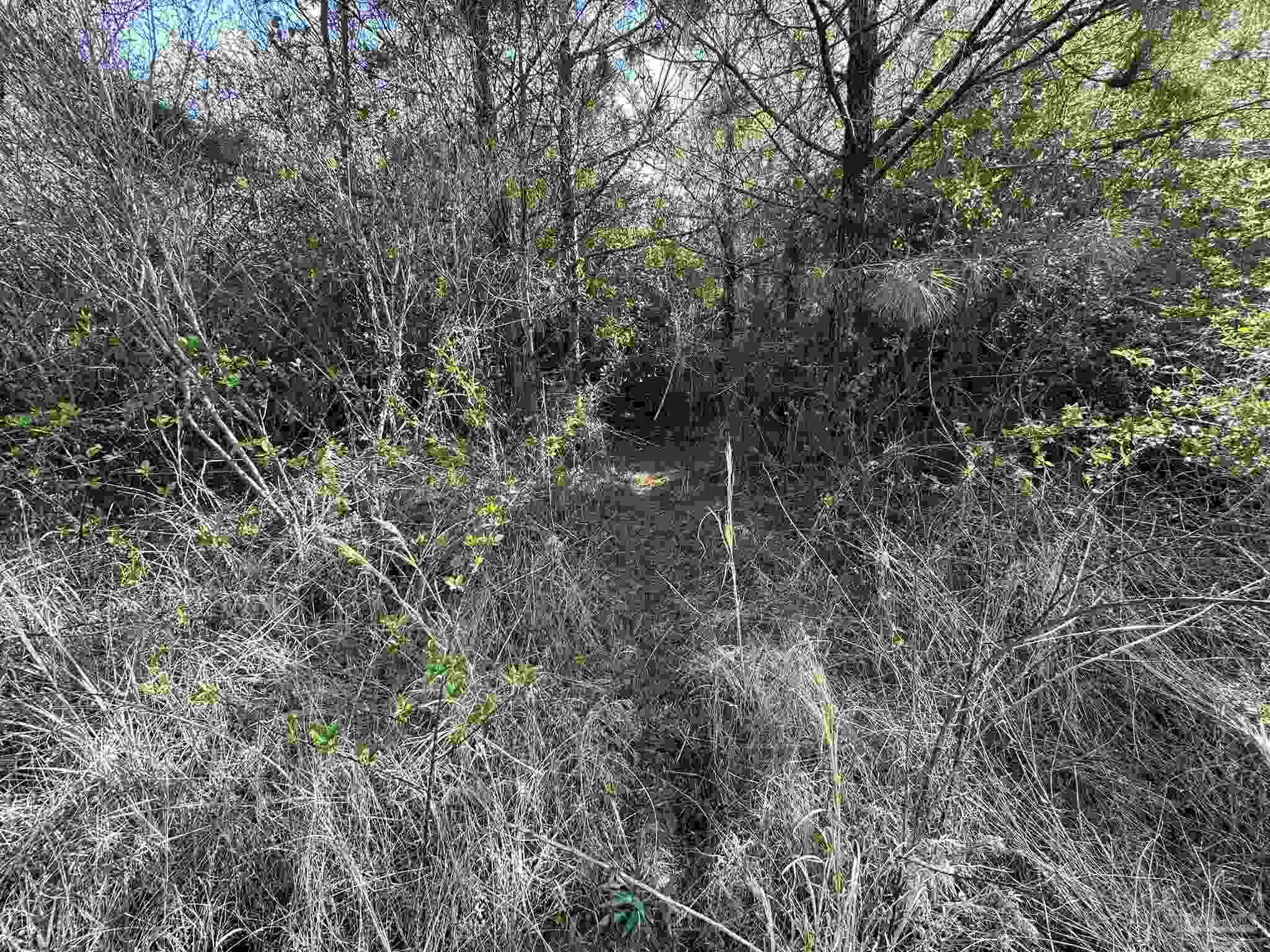 Lot A1 Snyder Road Frisco City, AL 36445 - Photo 4 of 30