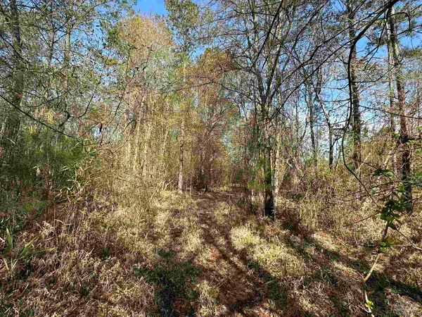 a view of outdoor space and green space