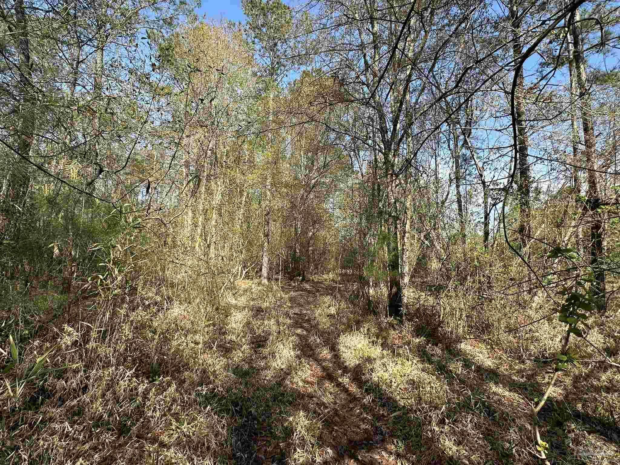 Lot A1 Snyder Road Frisco City, AL 36445 - Photo 9 of 30