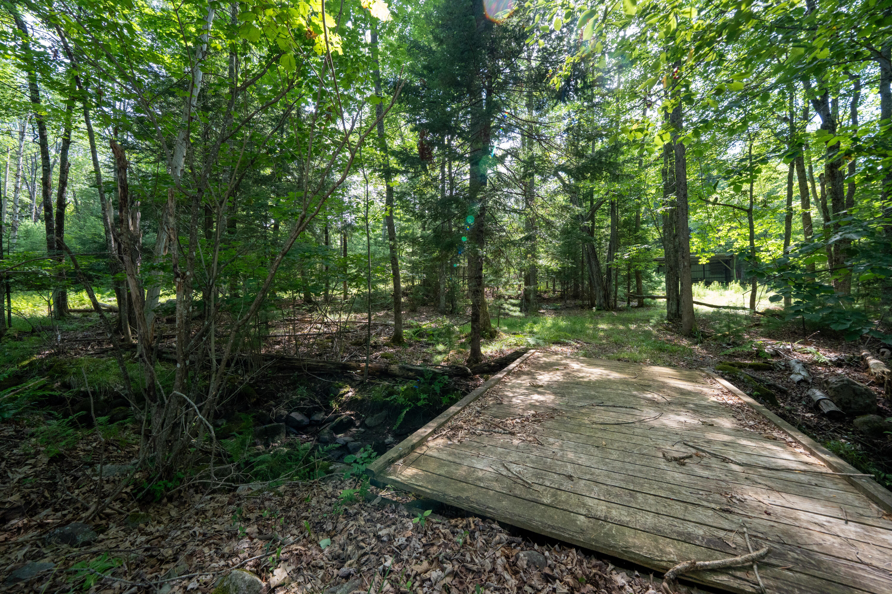 123 Betts Road Orrington, ME 04474 - Photo 8 of 50 DSC01930