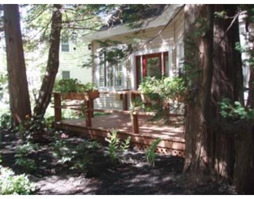 157 Clark Road Brookline, MA 02445 - Photo 20 of 21 a view of outdoor space with garden