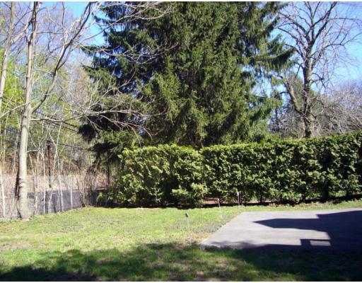 157 Clark Road Brookline, MA 02445 - Photo 2 of 21 a view of yard with green space