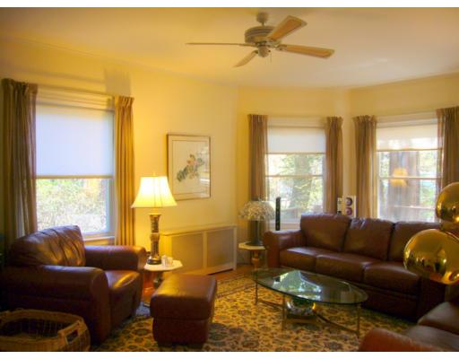 157 Clark Road Brookline, MA 02445 - Photo 5 of 21 a living room with furniture and a large window