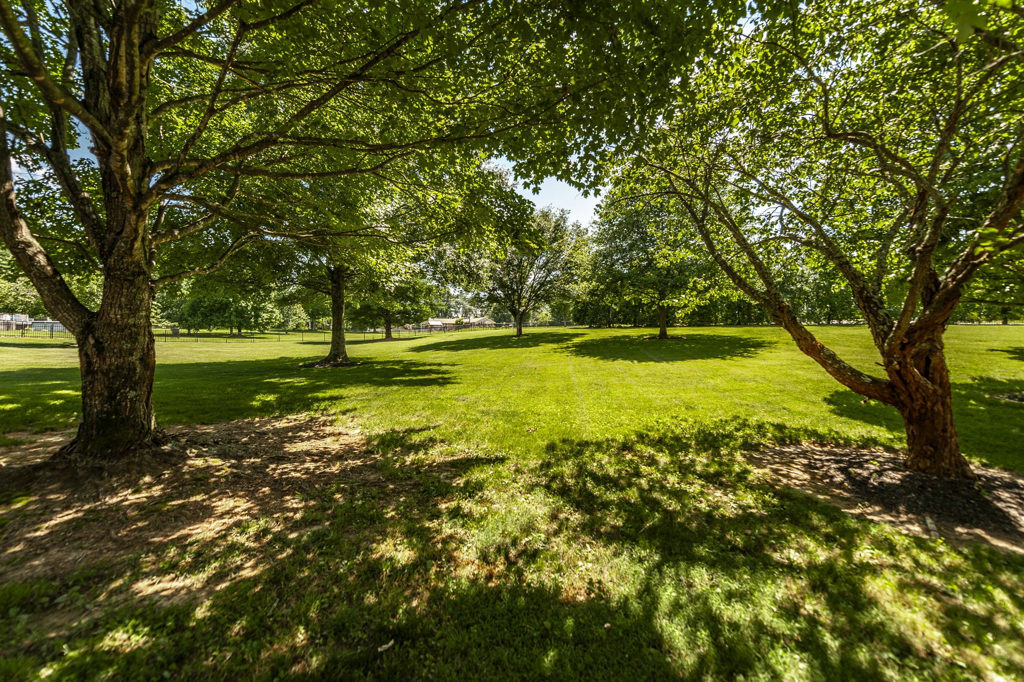 1820 Hygeia Road Greenbrier, TN 37073 - Photo 14 of 92