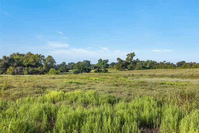 a view of a green field with trees in the background