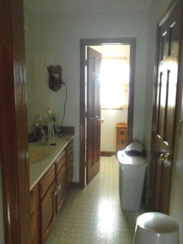 148 Millers Road Bridgewater, VA 22812 - Photo 11 of 20 a bathroom with a sink a toilet and shower