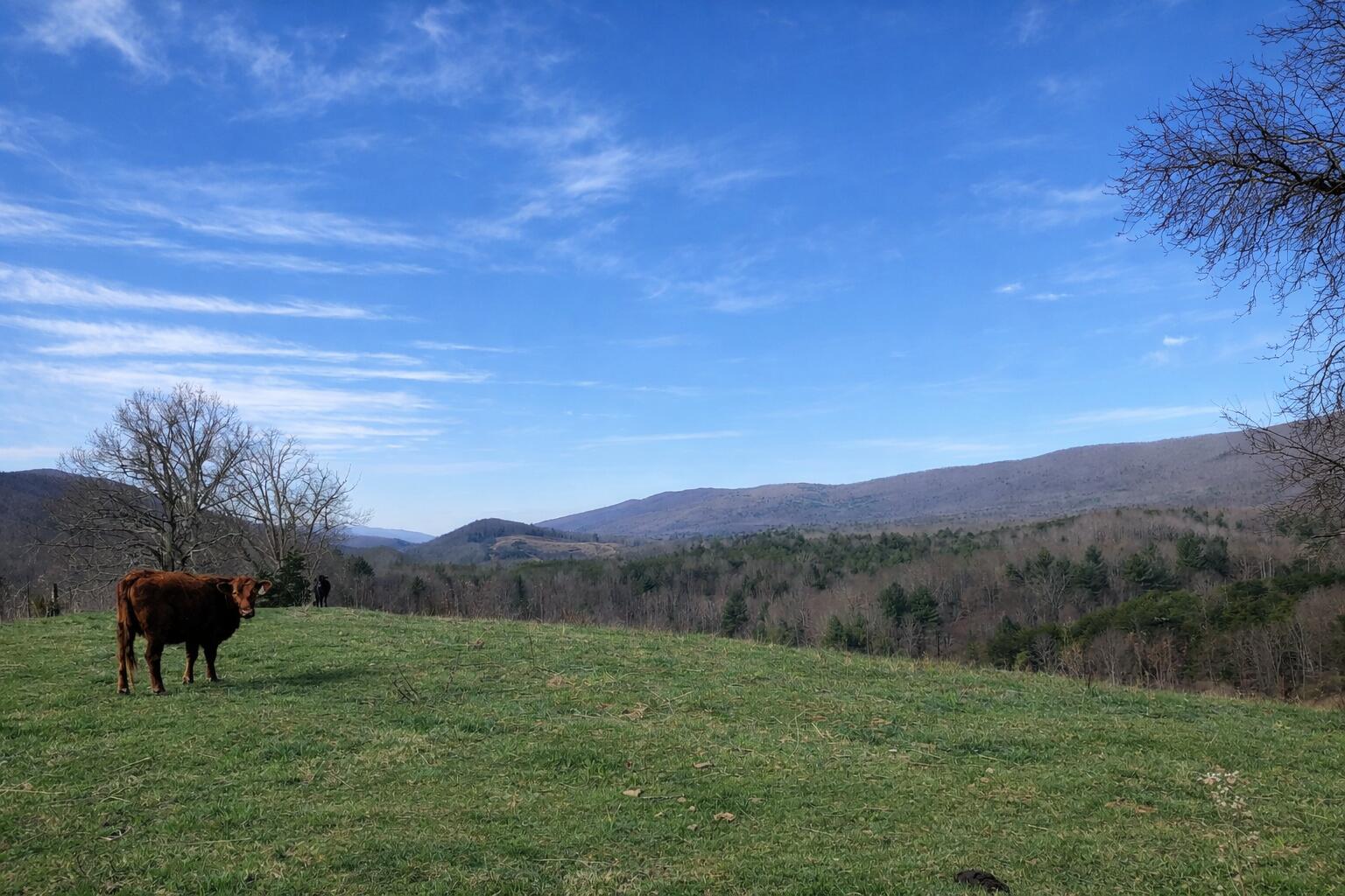 5ead5988-94c0-40d0-9f82-f441727c0106