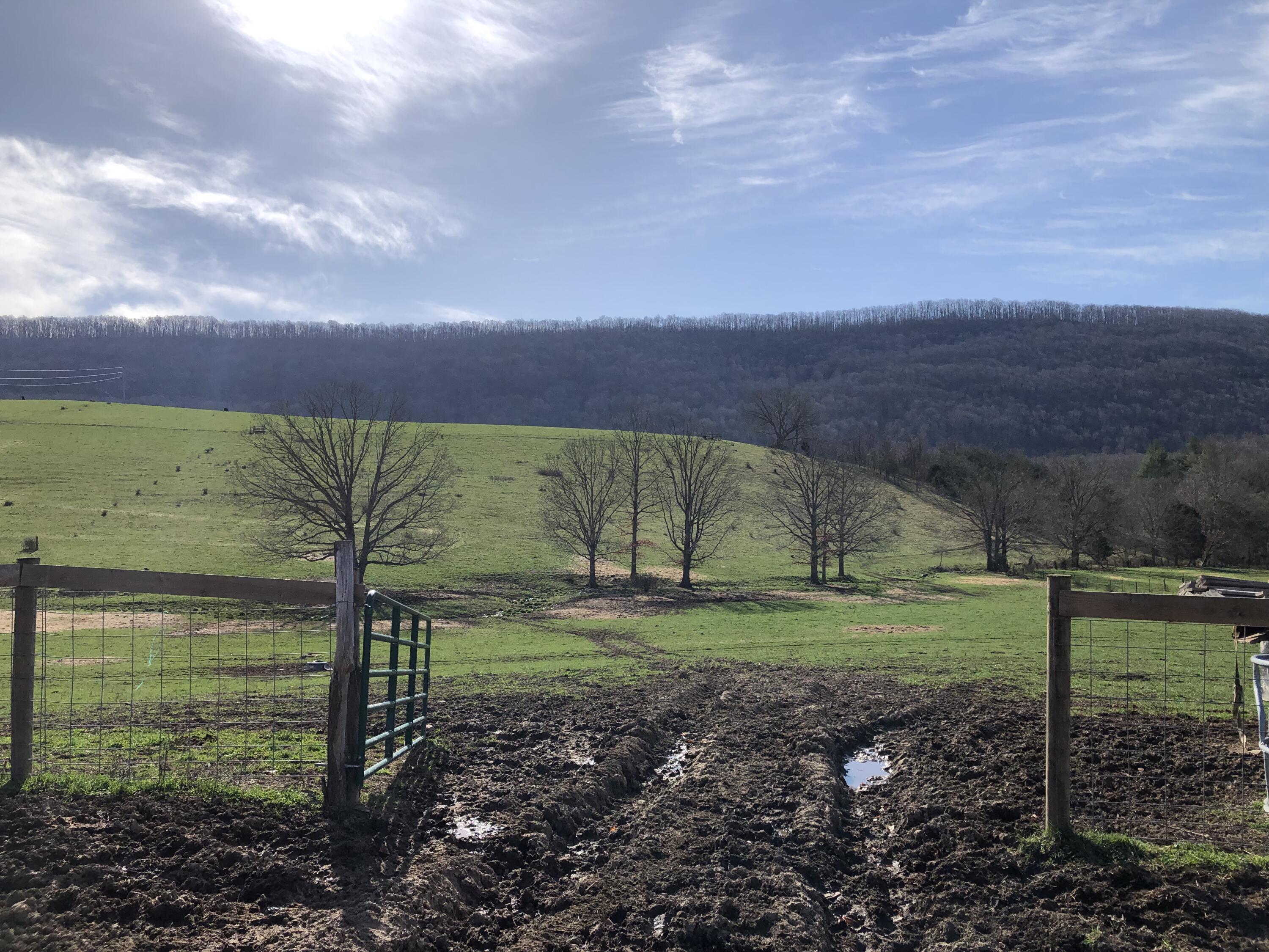 0 Wolfe Road Covington, VA 24426 - Photo 11 of 20 IMG_1370