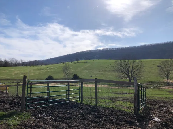 a view of outdoor space and yard