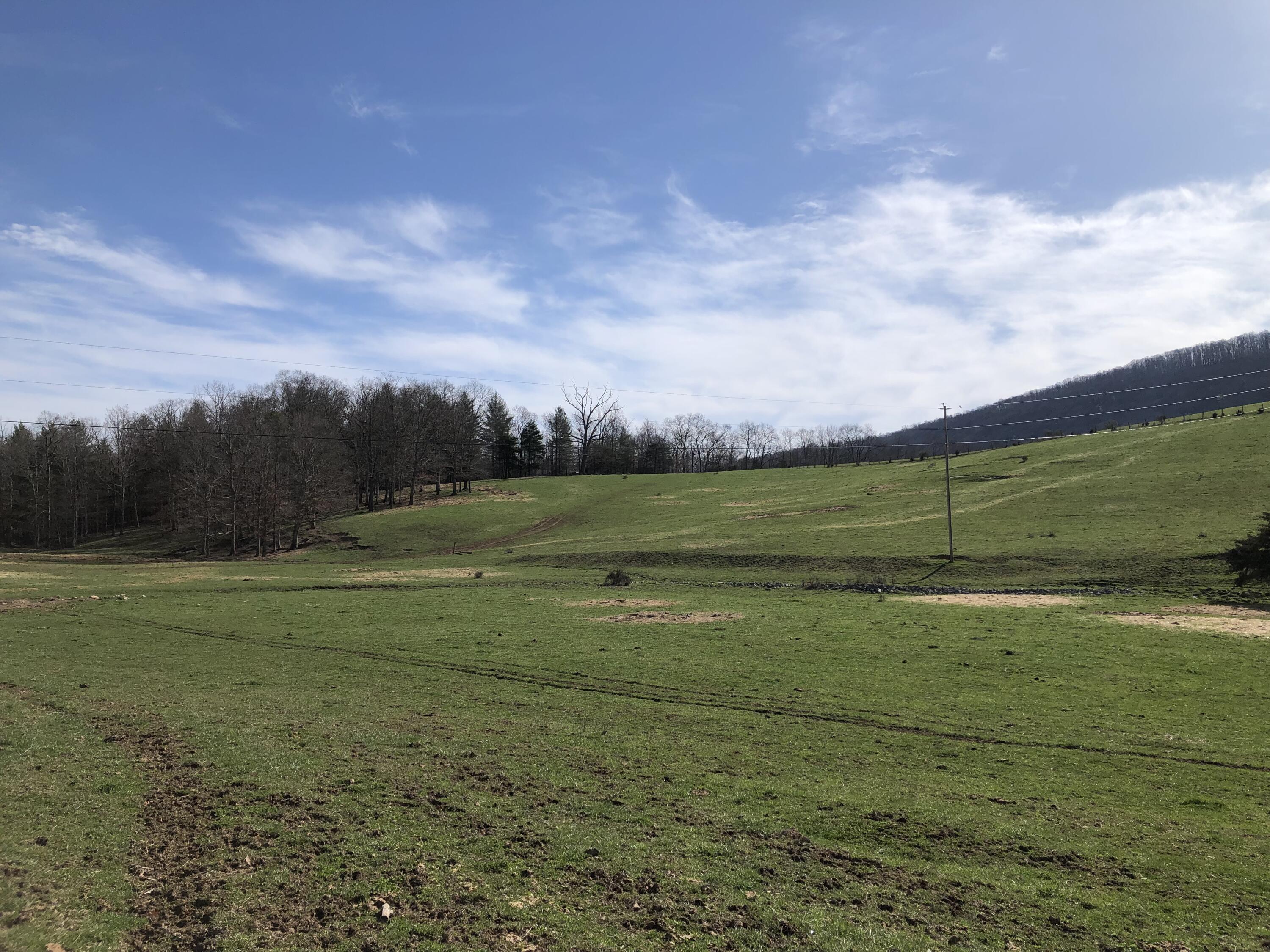 0 Wolfe Road Covington, VA 24426 - Photo 16 of 20 IMG_1374