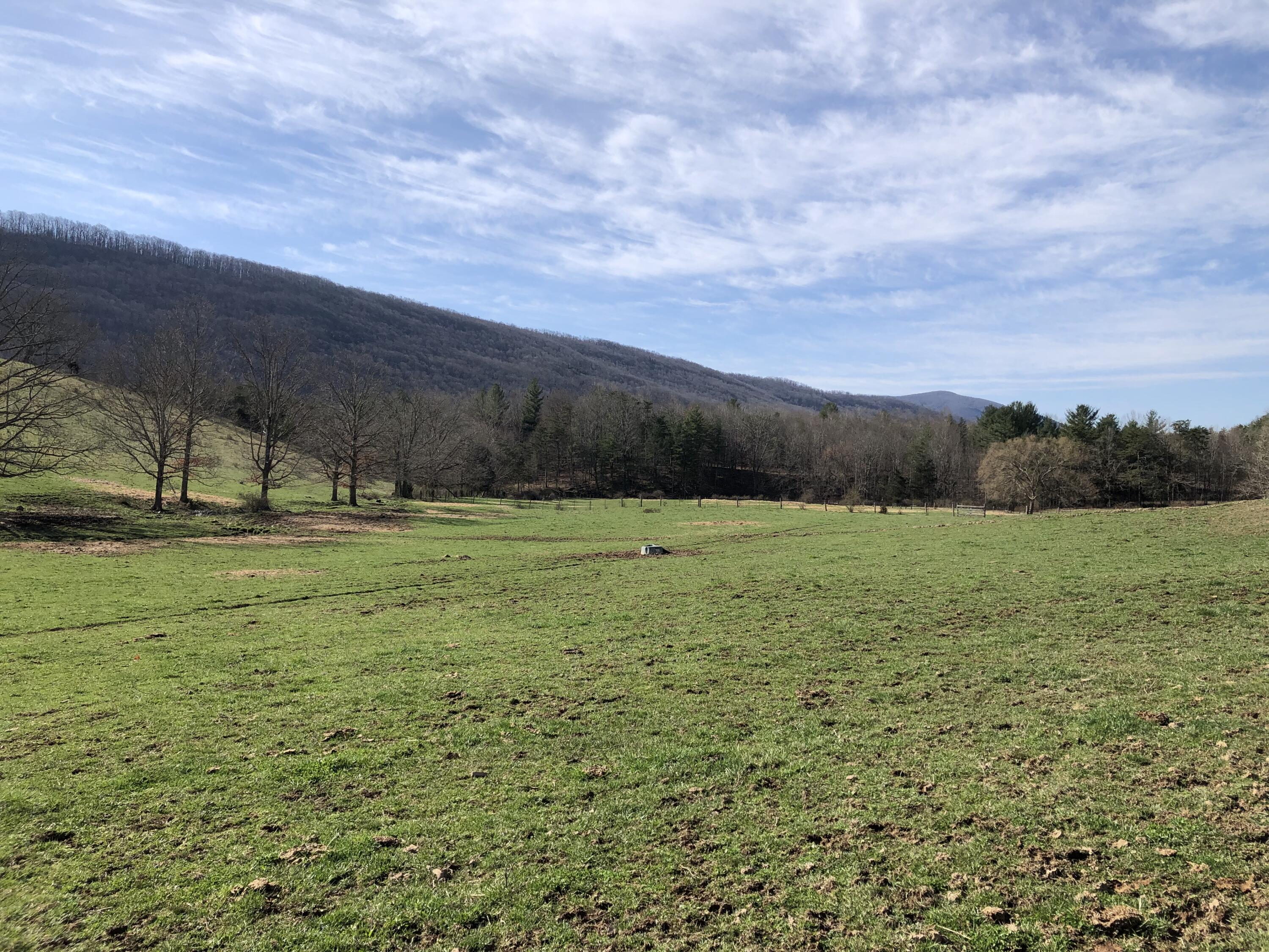 0 Wolfe Road Covington, VA 24426 - Photo 17 of 20 IMG_1375