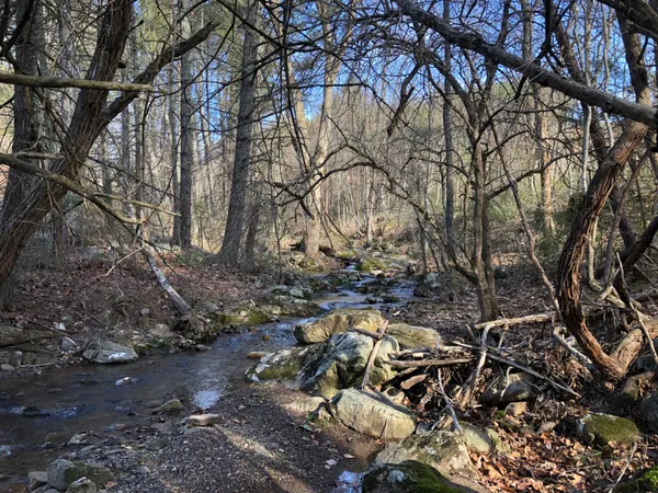 $649,000 | 0 Wolfe Road, Covington, VA 24426