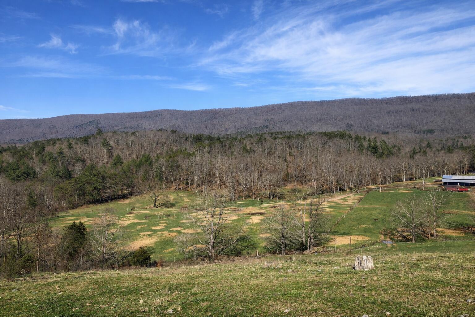 0 Wolfe Road Covington, VA 24426 - Photo 6 of 20 24cd5209-fc12-49e8-8127-b993b638e999