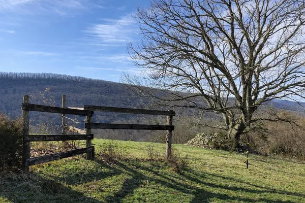 a view of a backyard of the house