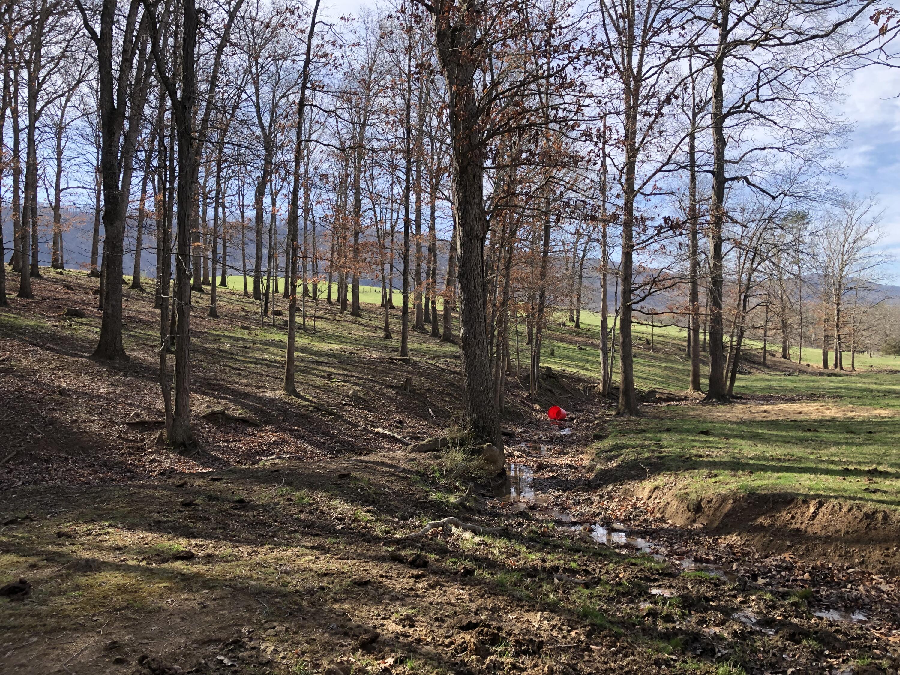 0 Wolfe Road Covington, VA 24426 - Photo 9 of 20 IMG_1381