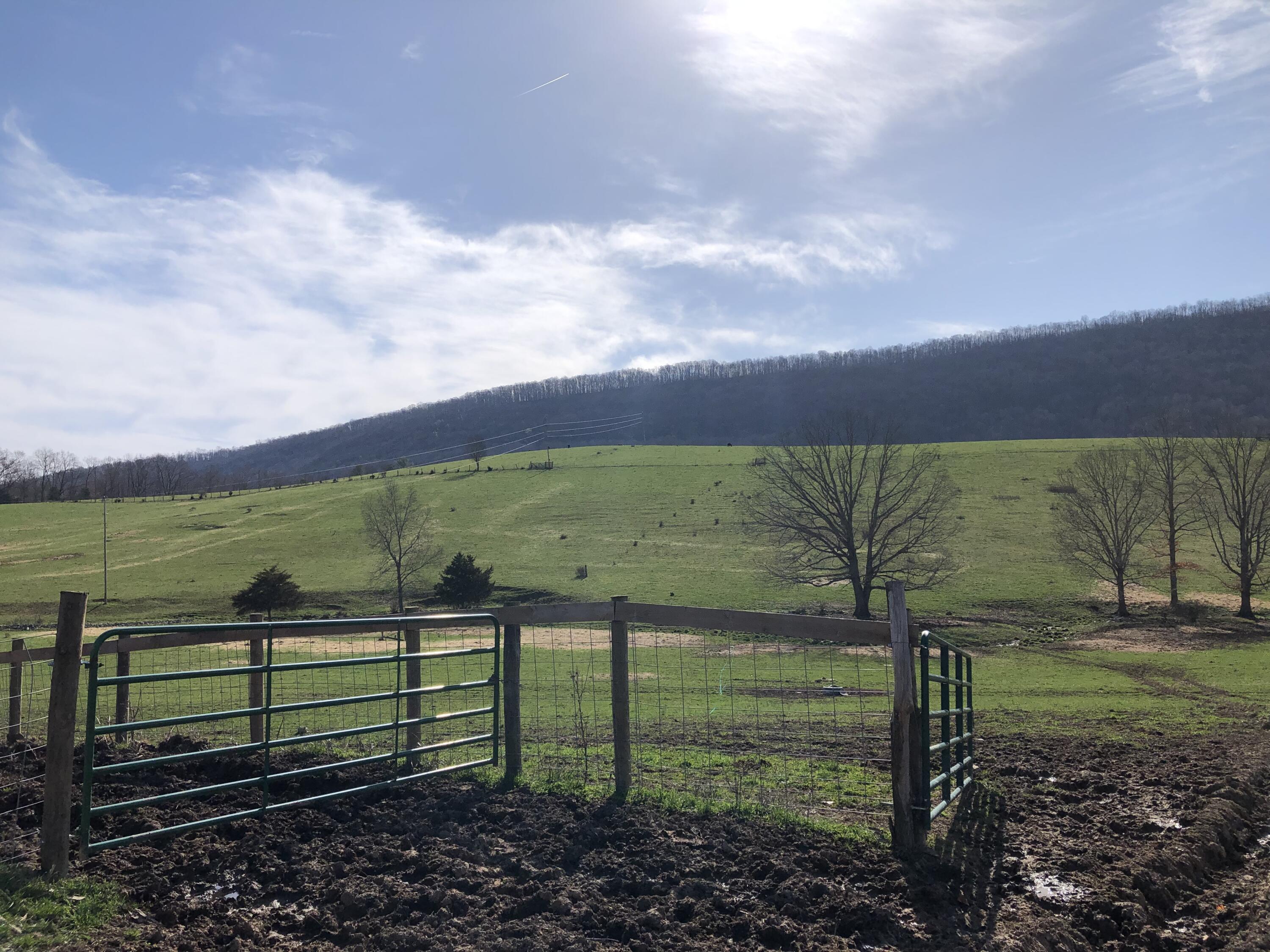 0 Wolfe Road Covington, VA 24426 - Photo 10 of 20 IMG_1369