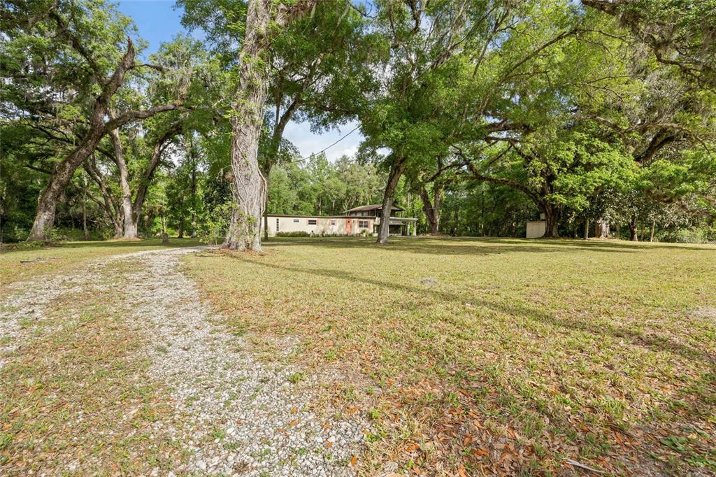 2780 County Road 575 Bushnell, FL 33513 - Photo 47 of 57 a view of a green field with trees in the background