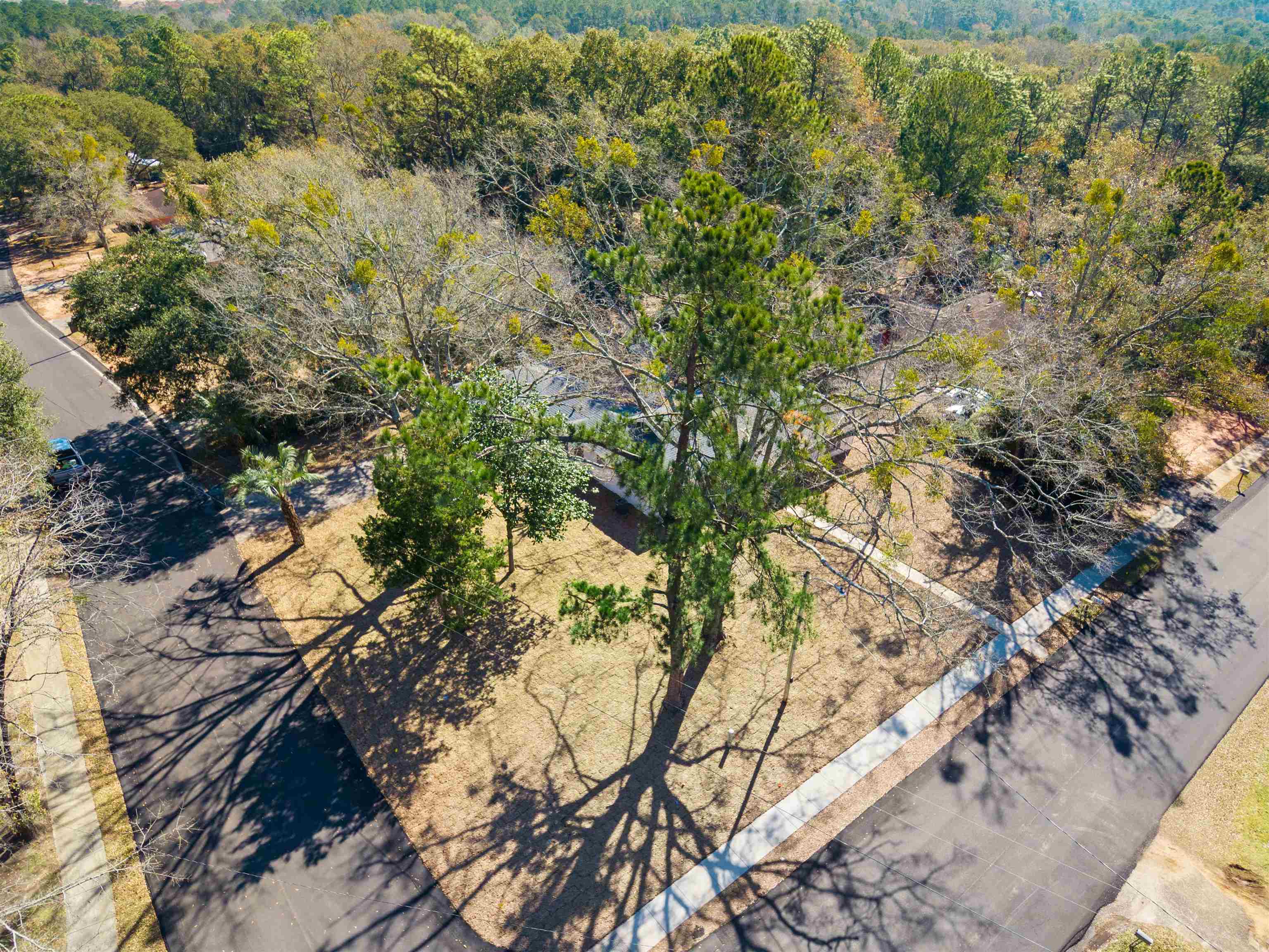 510 Pine Street Daphne, AL 36526 - Photo 33 of 36