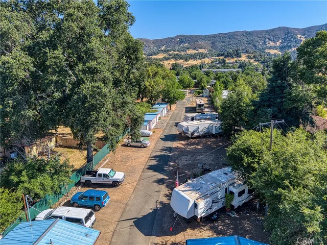 a view of a house with a big yard potted plants and large tree