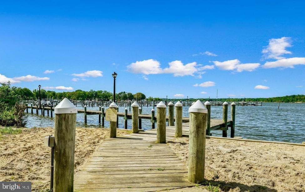 1 Ferry Point Lane Earleville, MD 21919 - Photo 41 of 46 Community dock