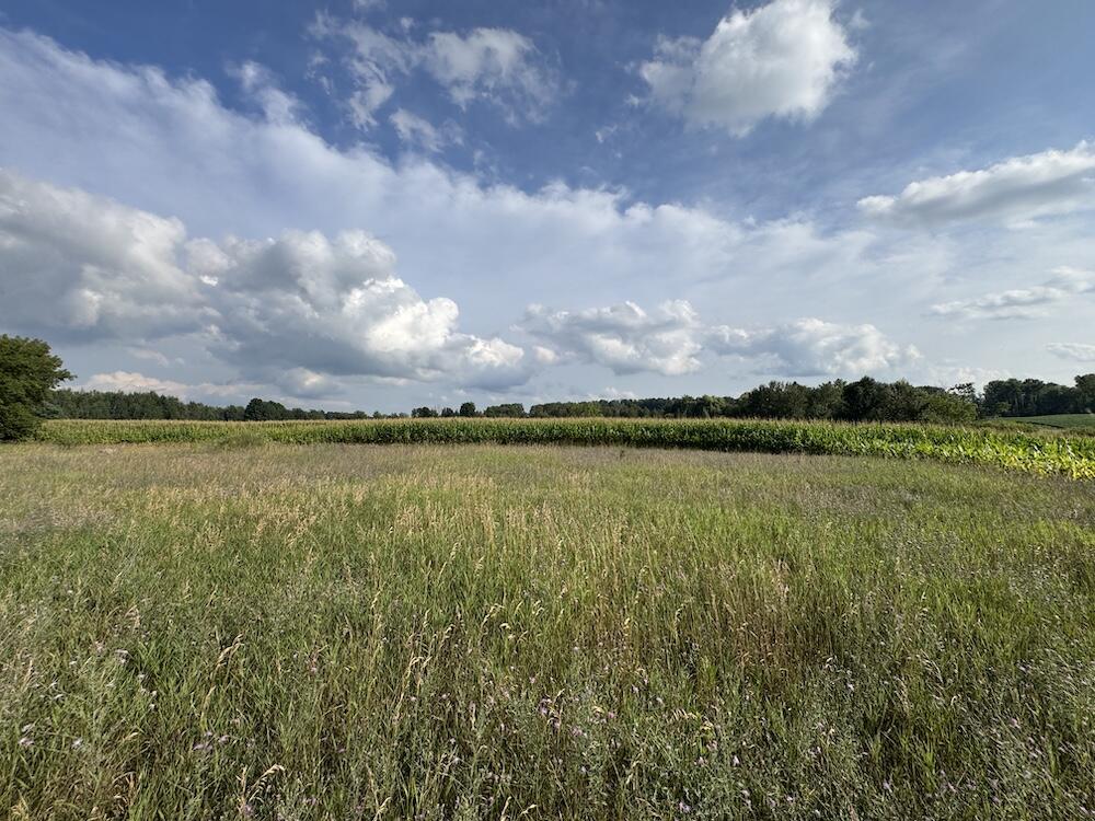 409 South Morrison Road West Branch, MI 48661 - Photo 13 of 40 IMG_5089 2