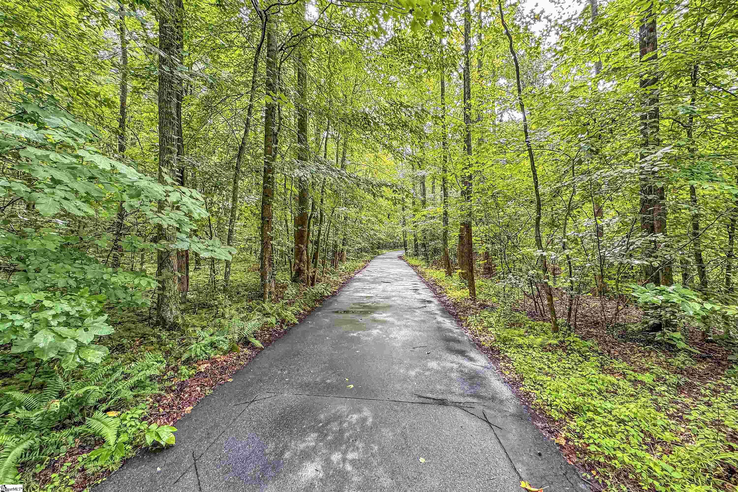 4751 State Park Road Travelers Rest, SC 29690 - Photo 5 of 35 Gallery Image 5