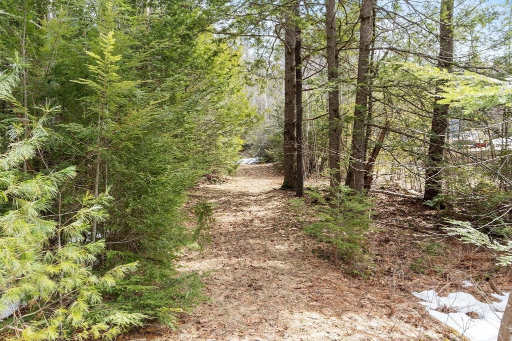 0 Mellen Road Winchendon, MA 01475 - Photo 3 of 6 a view of outdoor space with trees