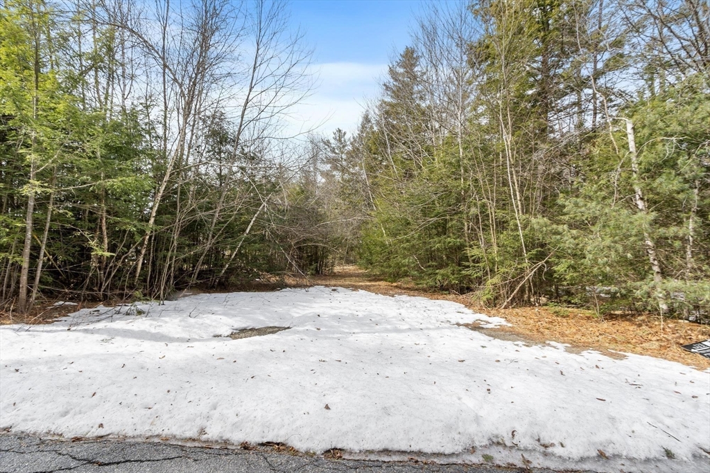 0 Mellen Road Winchendon, MA 01475 - Photo 6 of 6 a view of a yard covered with snow in front of house