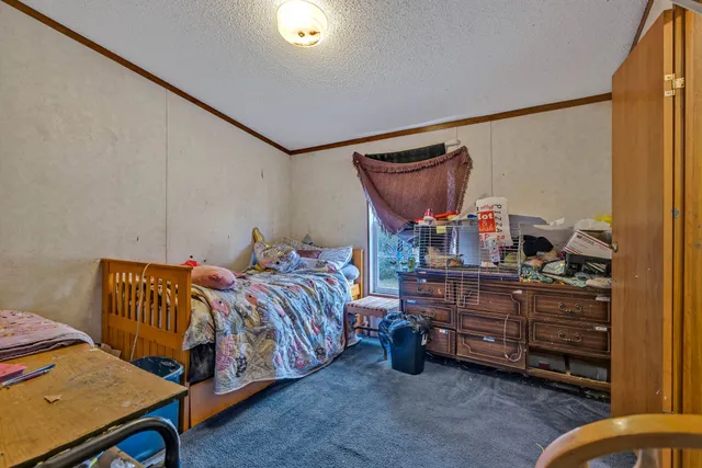 a bedroom with a bed and a dresser