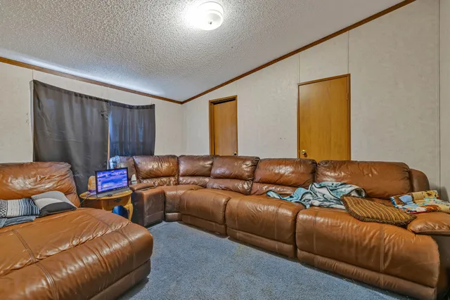 a living room with furniture and a couch