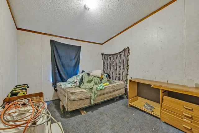 a bedroom with furniture and a couch