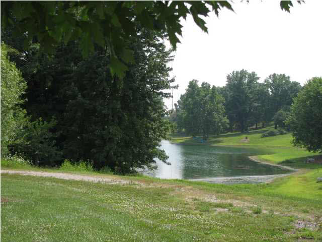 4801 Skunks Run Road Mount Vernon, IN 47620 - Photo 21 of 23 Gallery Image 21