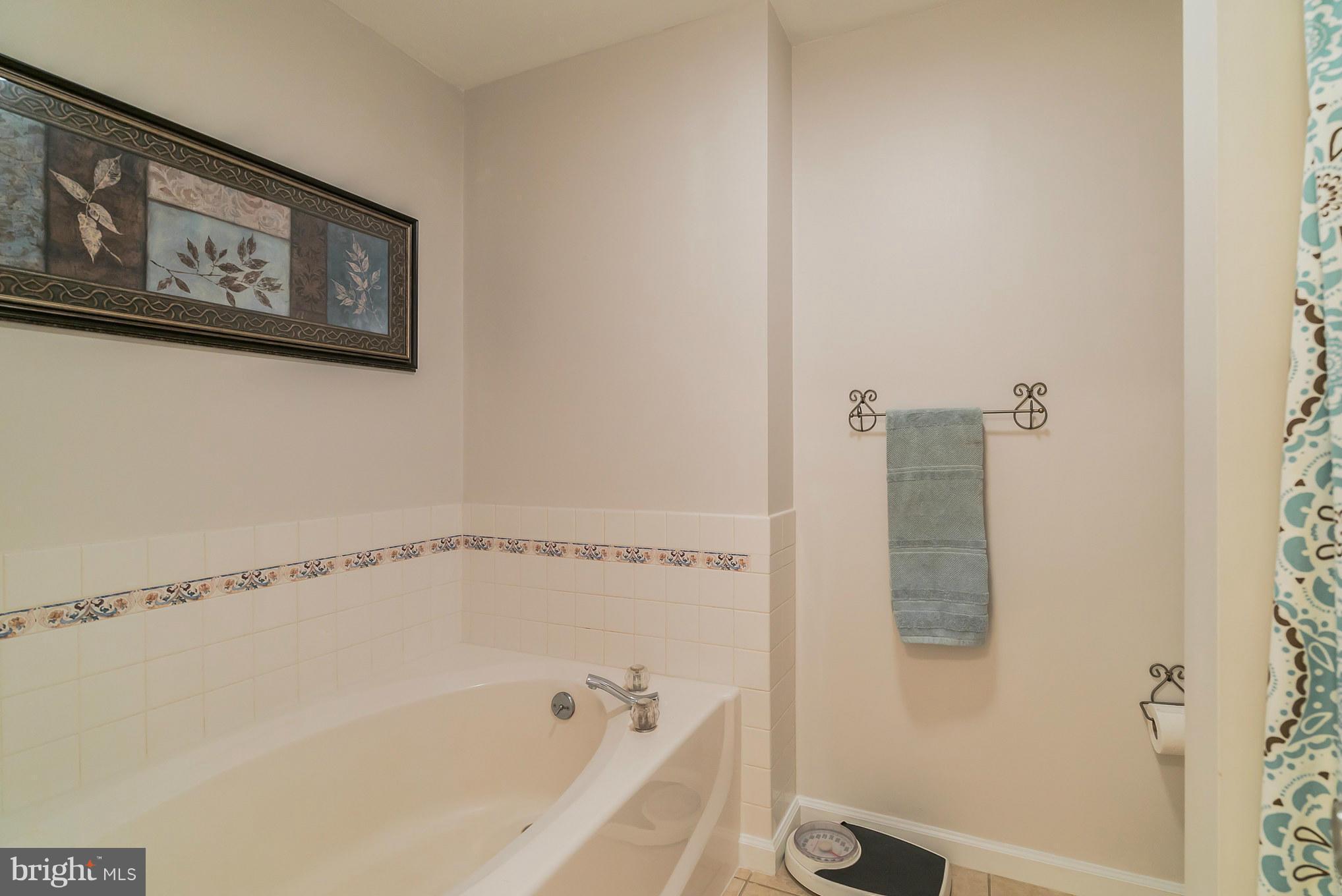 12888 Sagle Road Purcellville, VA 20132 - Photo 18 of 30 Separate tub/shower in its own space
