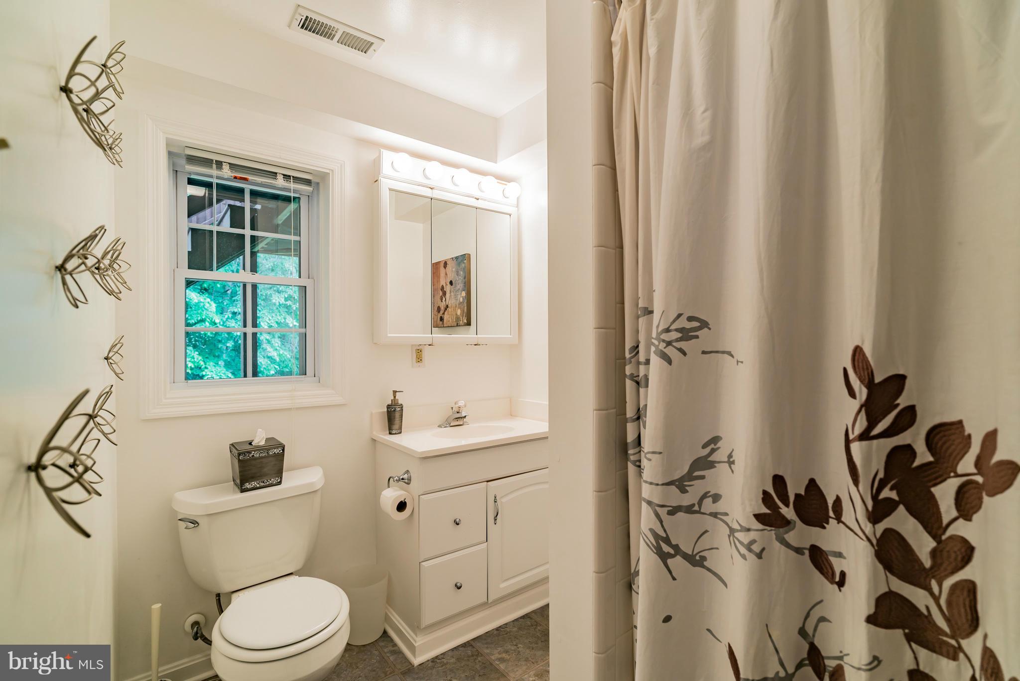 12888 Sagle Road Purcellville, VA 20132 - Photo 27 of 30 Bath #3 in lower level