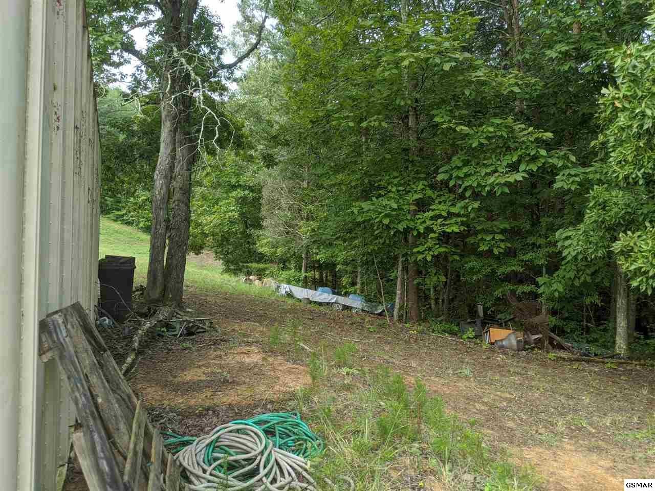 0 Blue Springs Road Strawberry Plains, TN 37871 - Photo 5 of 31 Gallery Image 5