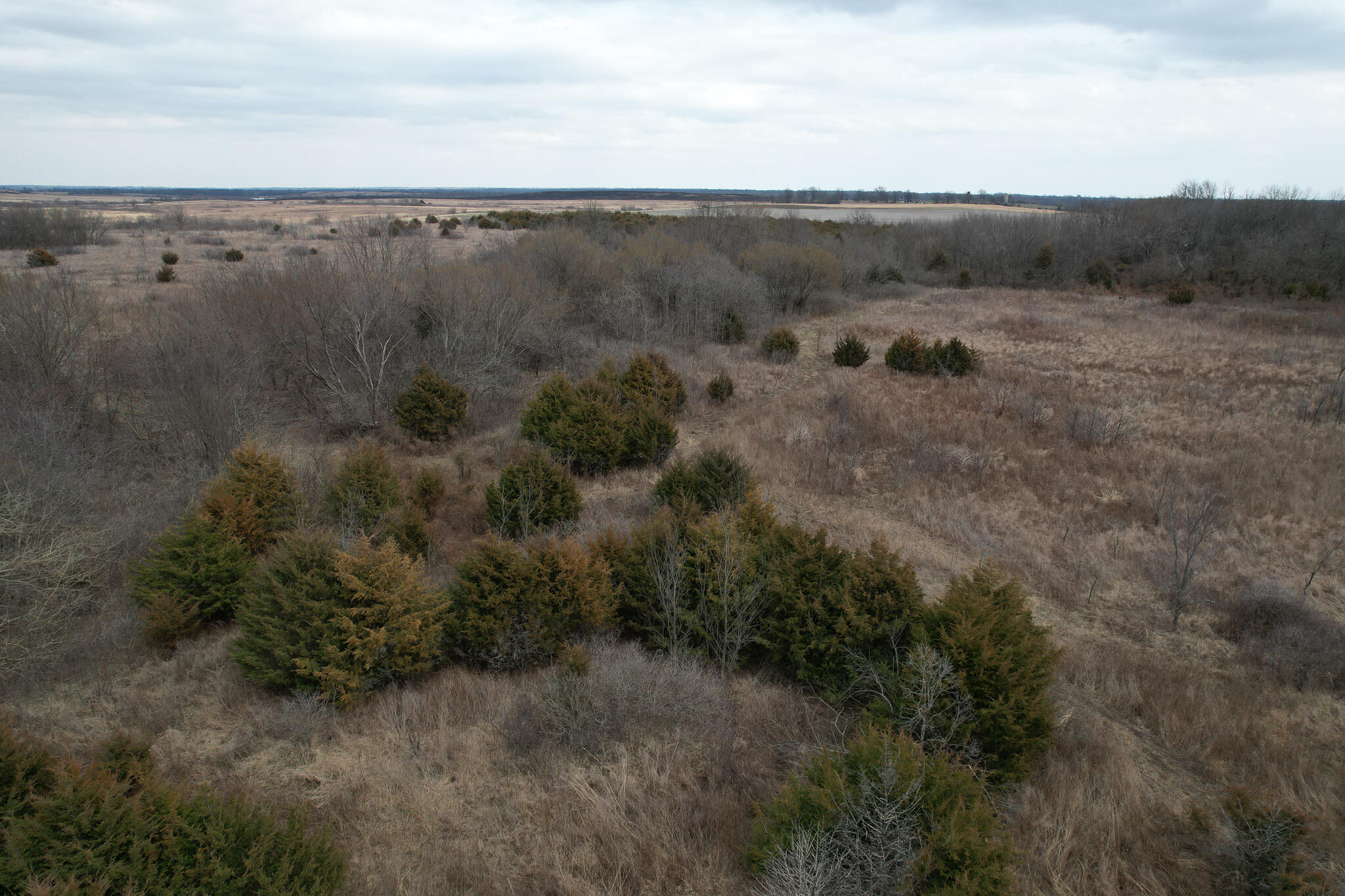 890 Northwest 100th Road Liberal, MO 64762 - Photo 5 of 19 IMG_5002