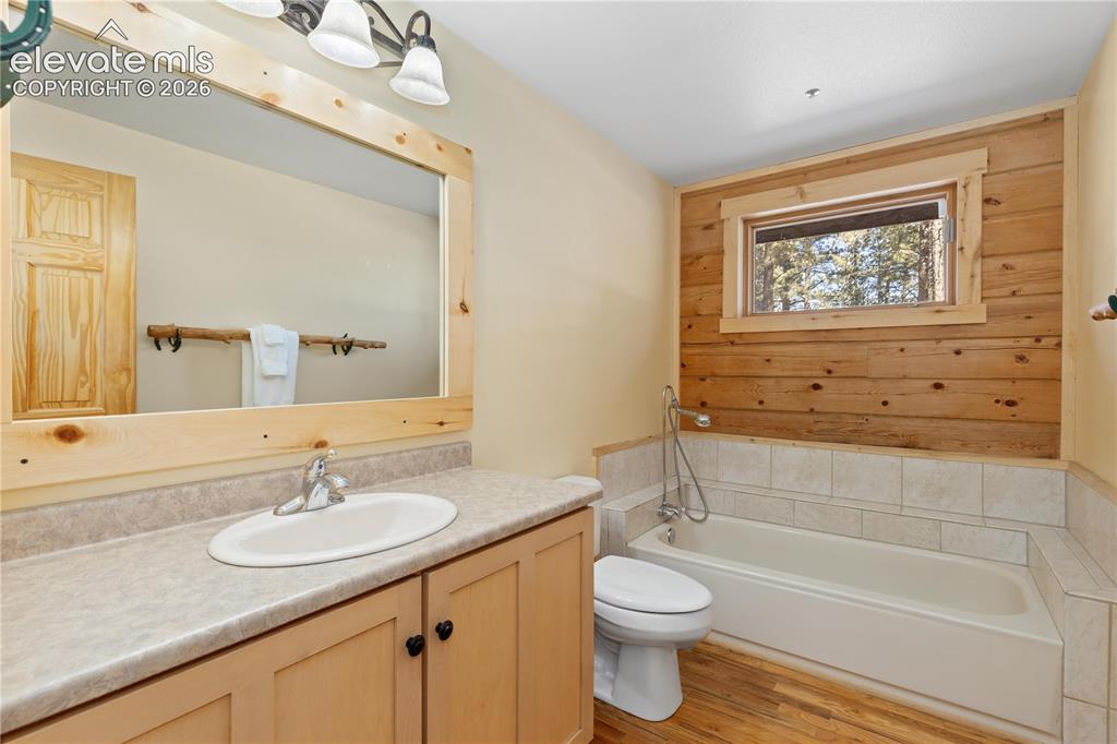 1910 Wildhorn Road Florissant, CO 80816 - Photo 23 of 49