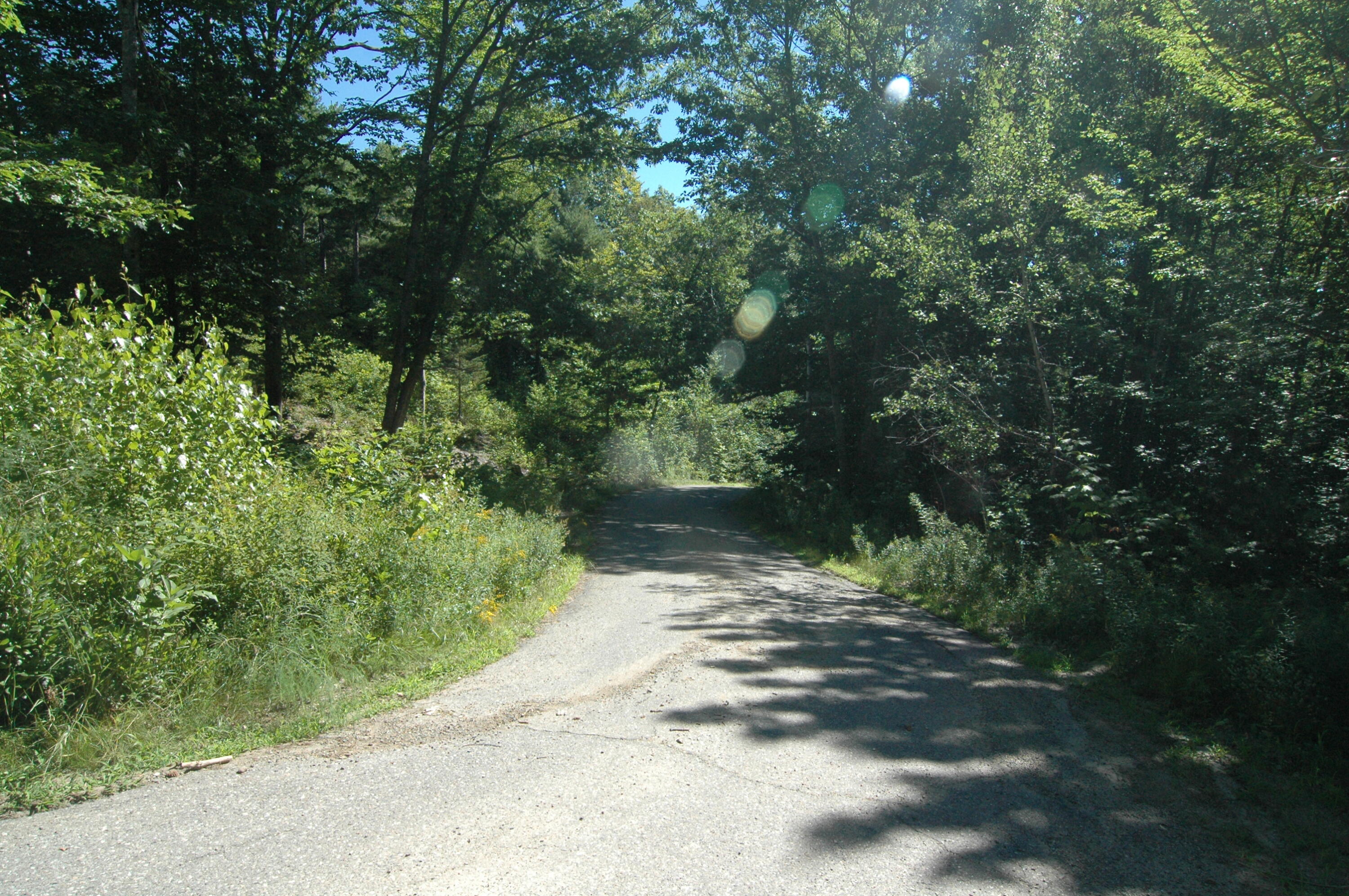 0 Ragged Ridge Road Camden, ME 04843 - Photo 5 of 6 road down