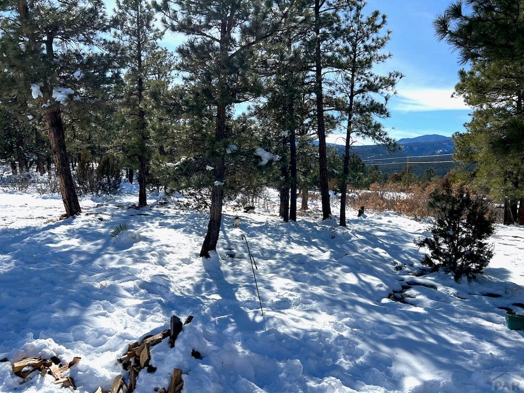 6630 3 R Road Beulah, CO 81023 - Photo 41 of 53