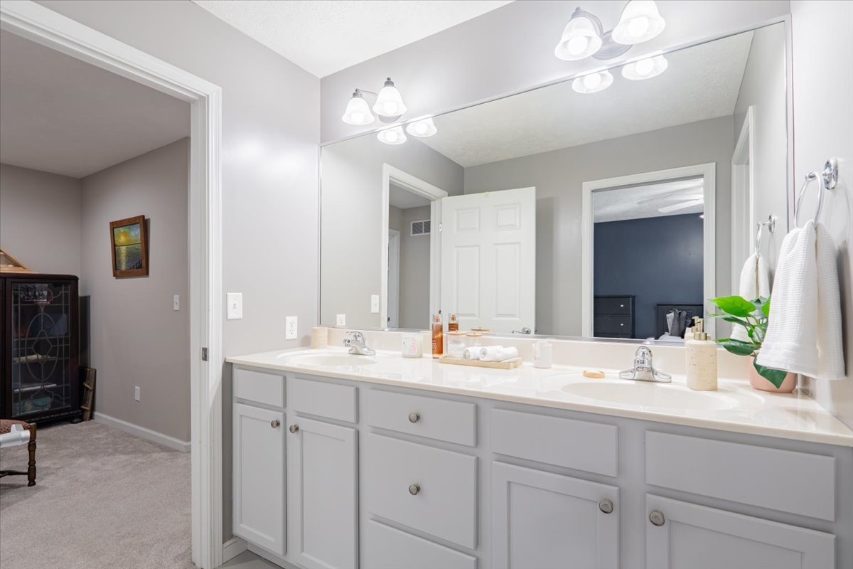 801 Balsam Road Normal, IL 61761 - Photo 32 of 56 a bathroom with a sink a light fixture and a mirror