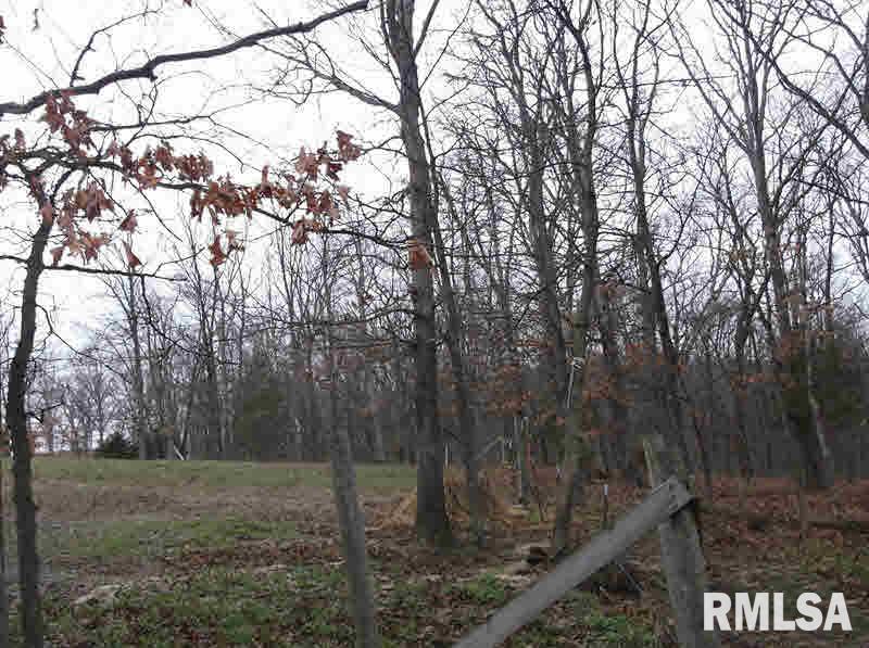 82 Bruce Johnson Road Herod, IL 62947 - Photo 29 of 41 Gallery Image 29