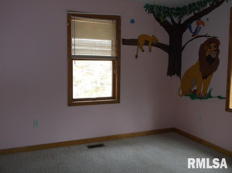 82 Bruce Johnson Road Herod, IL 62947 - Photo 36 of 41 Gallery Image 36