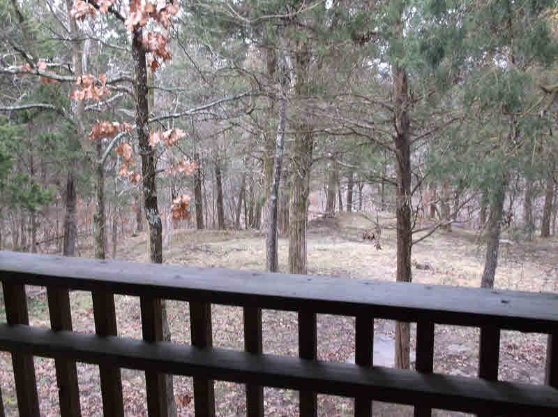 82 Bruce Johnson Road Herod, IL 62947 - Photo 7 of 41 Gallery Image 7