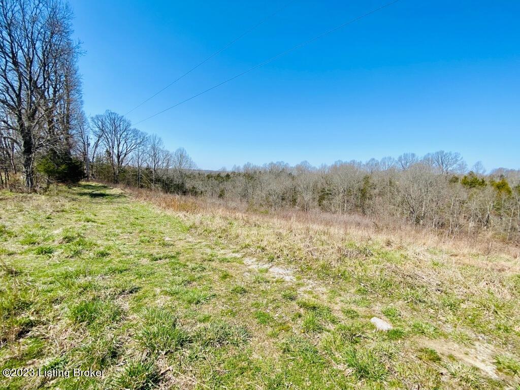 2723 Tatum Ridge Road Willisburg, KY 40078 - Photo 2 of 42 002_79791032