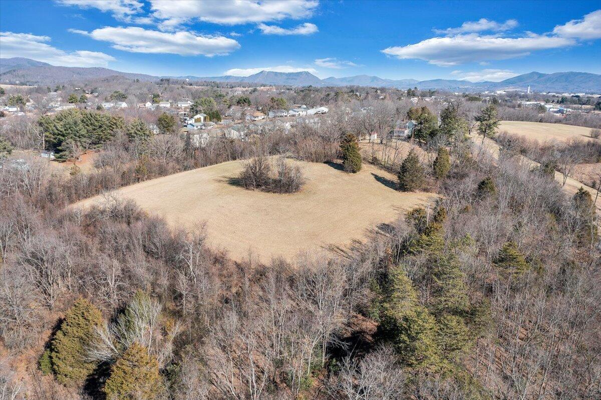 0 Green Ridge Road Roanoke, VA 24019 - Photo 29 of 43 06-DJI_0154